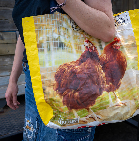 Produce Shopping Bag